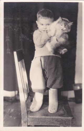 1950s Cute Little Boy With Cat On The Chair Hisses Fashion Russian Soviet Photo