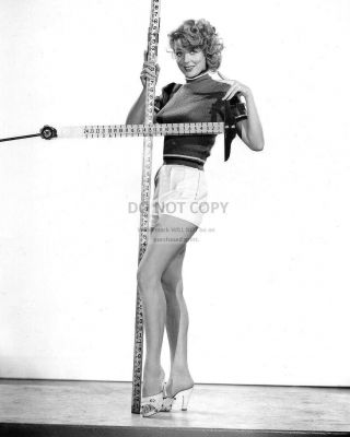Joan Vohs Actress And Model Pin Up - 8x10 Publicity Photo (sp508)