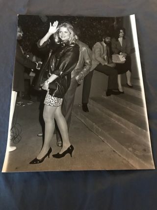 Donna Dixon 8 X 10 Orginial Vintage Photo 1981