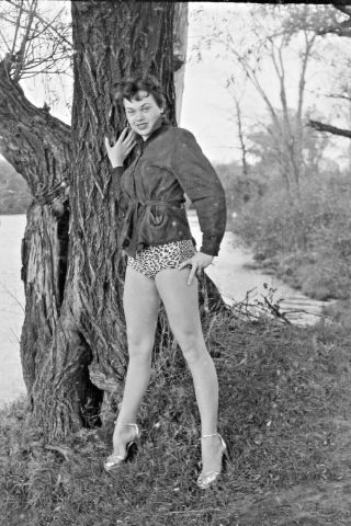 Vtg 1950s 35mm Negative Brunette Pinup Zebra Swimsuit Coat High Heels 115 - 25