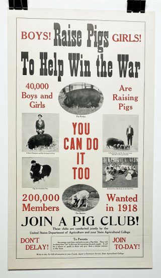Us Wwi Poster: Raise Pigs To Help Win The War,  Rare,