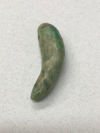Rare Drilled Pre Columbian Jade Jaguar Tooth Effigy Bead Mexico Stone Jadeite
