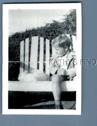 Found B&w Photo N,  6347 Little Boy Sitting On Bench By Rabbit