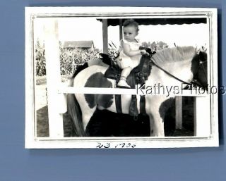 Found B&w Photo F,  4714 Little Girl Sitting On Pony Ride