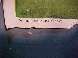 Orig 1910 D.  M.  FERRY SEED Co Country Store ADVERTISING POSTER 30 x 20 2
