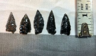 Five Obsidian Wyoming Bird Point Arrowheads Native American 16