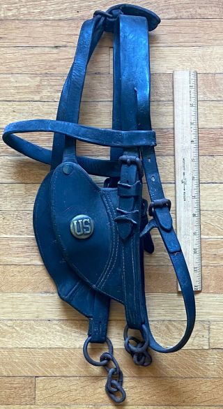Us Cavalry/artillery Pack Horse/mule Bridle,  Blinders And Us Bosses