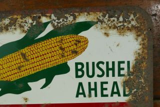 Vintage 1950’s/1960’s Blaney Seed Corn Hi Potentials Embossed Metal Farm Sign 3