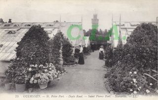 Guernsey Ll - 75 Doyle Road Nurseries St Peter Port - Posted 1910