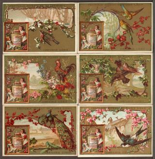 Liebig S - 102 " Birds Vi - Inset Left " Full Set Of 6 Vintge Trade Cards 1878 French