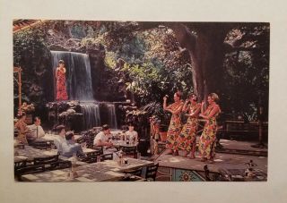 Disneyland Postcard; Tahitian Terrace; 1 - 536 Sc10697,  Nt0801; Scarce