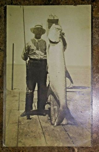 Vintage 1920s Tarpon Fish Fishing Port Aransas Texas Rppc