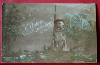 Wwi Postcard • Service/war Dog 1915 • French • Canon • Helmet • Rifle