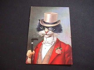 1910 Postcard View Of Cat In Top Hat With Cane