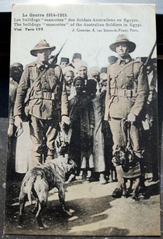 Wwi Anzac Australia Soldier Egypt Mascote Bulldog Photo Postcard Rppc