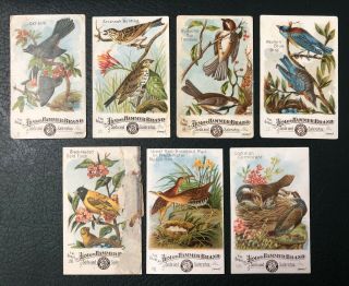 Birds Of America 7 Cards Arm And Hammer 6,  10,  18,  22,  28,  48,  58