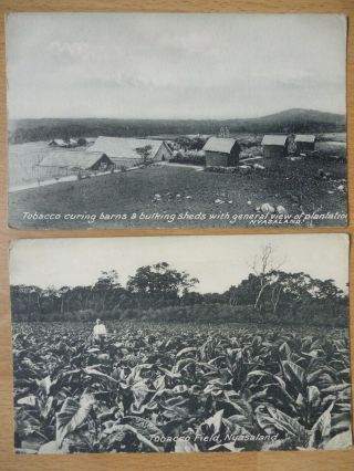 Tobacco Industry Nyasaland Vintage Postcards