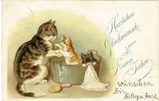 H Maguire Artist Old Postcard Anthropomorphic Cat & Kittens Having A Bath 1898