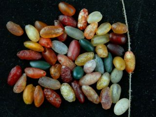 51pics Unusual Rare Tibetan Natural Agate Dzi Small Beads N129