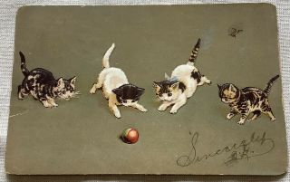 Vintage Cat Kitten Postcard Embossed Germany Ball 1906
