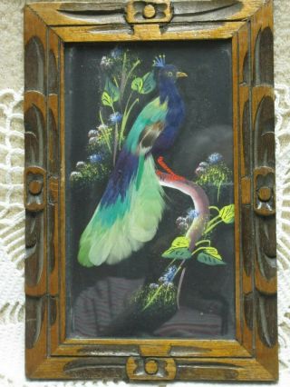 Vintage Collectible Hand - Painted Real Feather Bird Picture,  Carved Wooden Frame