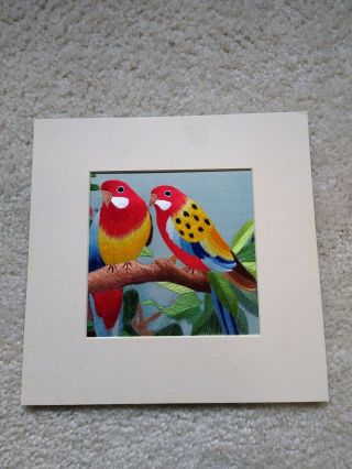 Chinese Silk Embroidery Art Parrots Birds