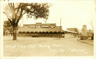 Del Monte Packing Plant,  Yuba City,  California,  Rppc,  Vintage Postcard