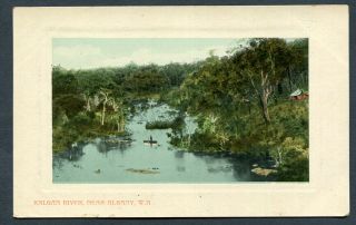 Australia,  Western Australia,  Kalgan River,  Near Albany,  Cp,  Un,  Pub Falk,  Frame Type,