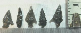 Five Obsidian Wyoming Bird Point Arrowheads Native American 14