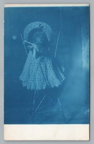 Dog Dressed In Hat & Knitted Dress Rppc Cute Antique Cyanotype Photo 1910s