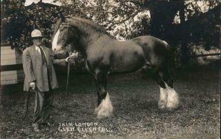 Rppc Glen Ellen,  Ca Jack London With Horse Sonoma County Author California