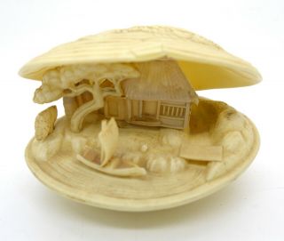 Vintage Diorama Japan Carved Clam Shell Celluloid