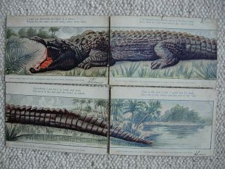 4 Part Installment Postcard - Giant Alligator - Franz Huld Puzzle Series