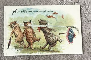 Louis Wain Signed Cat Getting Hosed Postcard C1909 - Tuck Oilette -