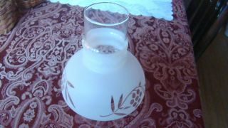 Clear Etch Frosted Glass Oil Lamp Chimney Globe 7 " H Grapes