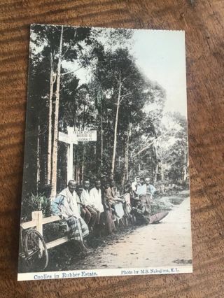 Malaysia Rubber Workers At Selangor Kuala Lumpur 1900s Postcard 2/10