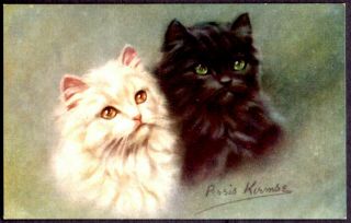 Tuck Oilette Postcard 2 Cats From P.  Kirmse Painting " Home Friends " Unposted