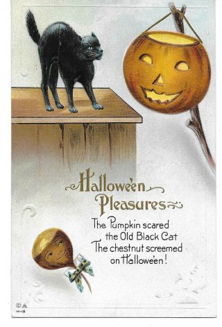 Black Cat And Pumpkin,  Vintage Halloween Embossed Postcard 1907 - 1915