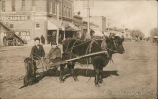 1910 Rppc North Bend,  Ne Boys Pose In A Cart Pulled By A Cow Nebraska