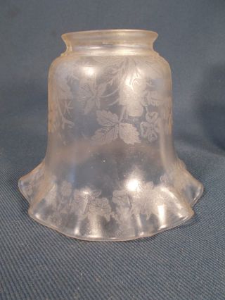 Victorian Acid Etched Floral Pattern Glass Electric Lamp Or Fixture Glass Shade