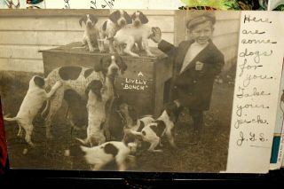D533,  Seldom Seen Real Photo,  Ballston Ny Little Boy W Bunch Of Dogs 1980