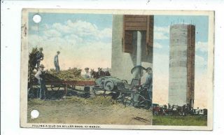 Postcard Post Card Farming Miller Brothers 101 Ranch Filling Silo