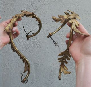 2 Acanthus Brass Bronze Sconce Chandelier Arm Lamp Part French Vintage Scrolls