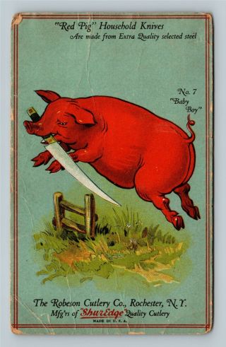 Advertising - Red Pig Knives - Robeson Cutlery Rochester York C1915 Postcard
