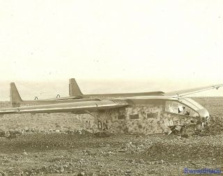 Lg.  Port.  Photo: Rare Luftwaffe Go.  242 Glider (dl,  Dn) Crash Landed In Field