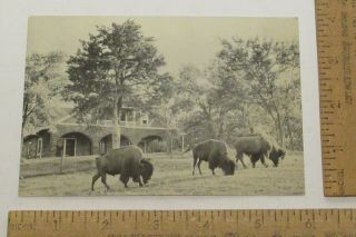 Famous Pawnee Bill Ranch - Pawnee,  Oklahoma - Post Card - Real Photo - Unposted