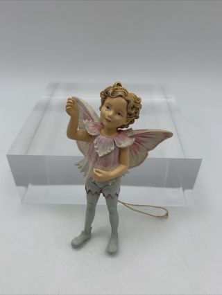 Retired Cicely Mary Barker Flower Fairies Ornament Pink Fairy Boy