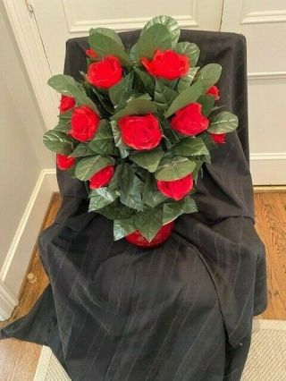 Magic Blooming Rose - - 18 Roses With Vintage Change Bag