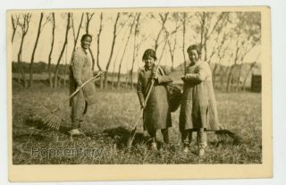 1910s Rppc Postcard China Peking Peiping Farm Field Workers Photograph Photo