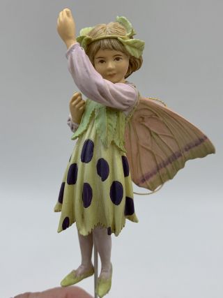 Retired Cicely Mary Barker Flower Fairies Ornament Figurine Sloe Fairy